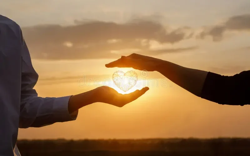 concept-love-relationship-people-hands-interacts-heart-background-sunny-sunset-178593002